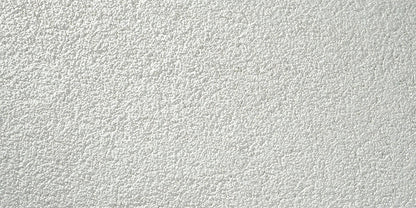 Stolit Max Fine textured stucco finish close-up showing fine surface detail and acrylic coating appearance for exterior walls