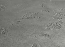 Close up of Stolit Milano stucco finish showing detailed textured surface and colour appearance